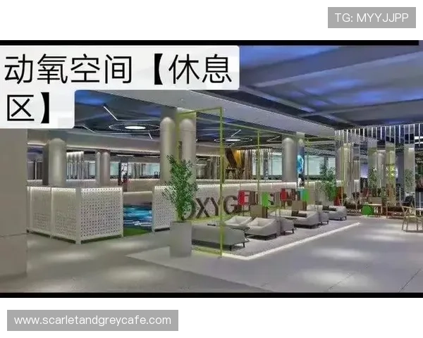 明发体育app推出个性化运动计划,满足不同用户健身需求